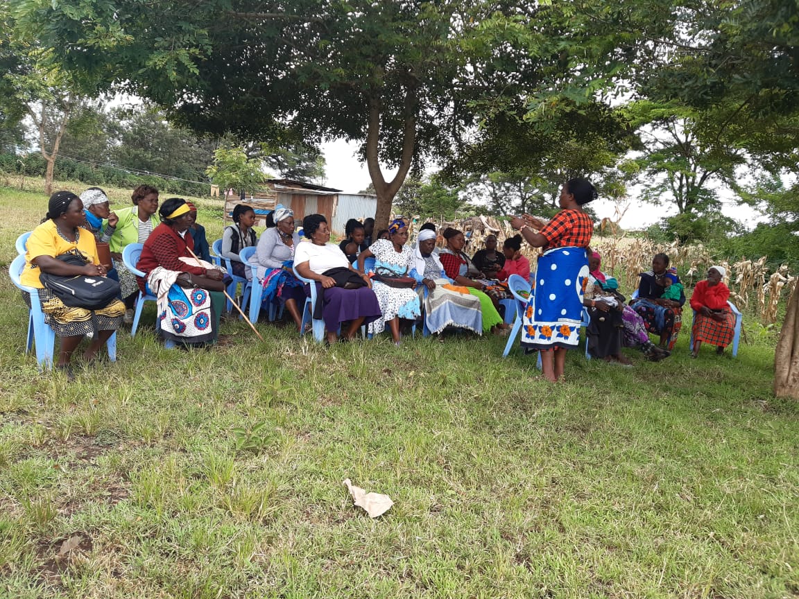 Ground photo